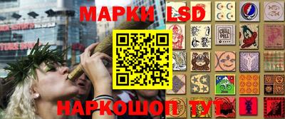 индика Изобильный