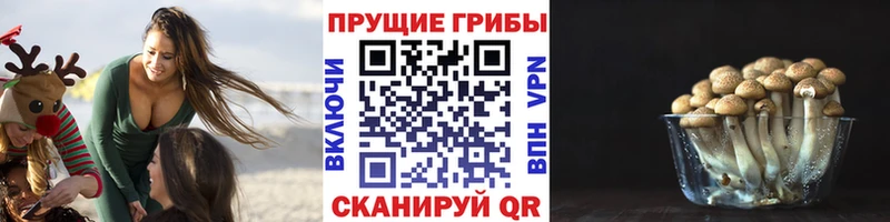 blacksprut   Северск  Псилоцибиновые грибы прущие грибы 