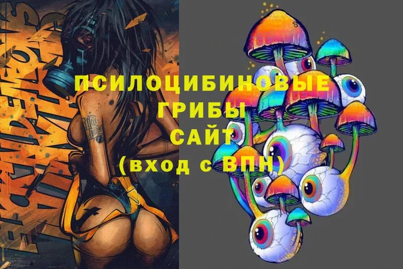 Псилоцибиновые грибы Psilocybine cubensis  Северск 