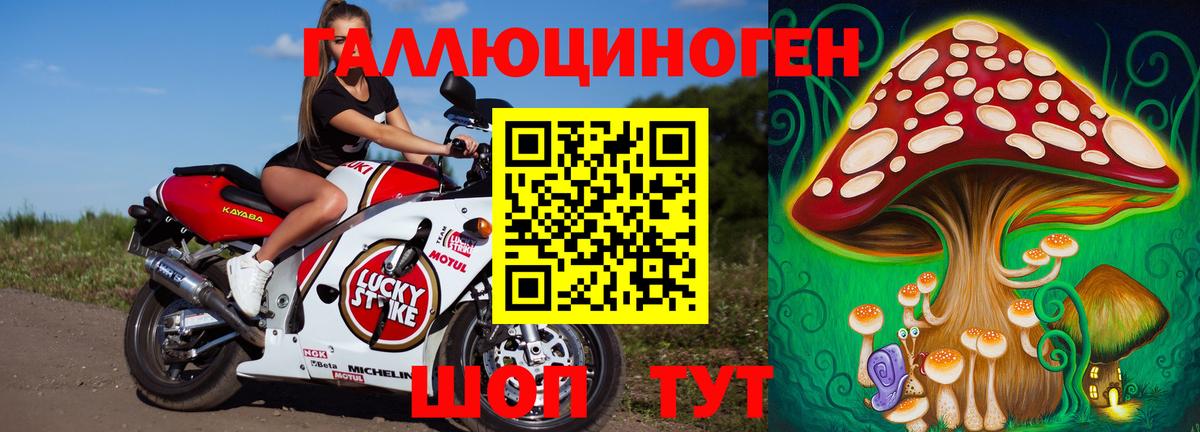 Конопля Северск