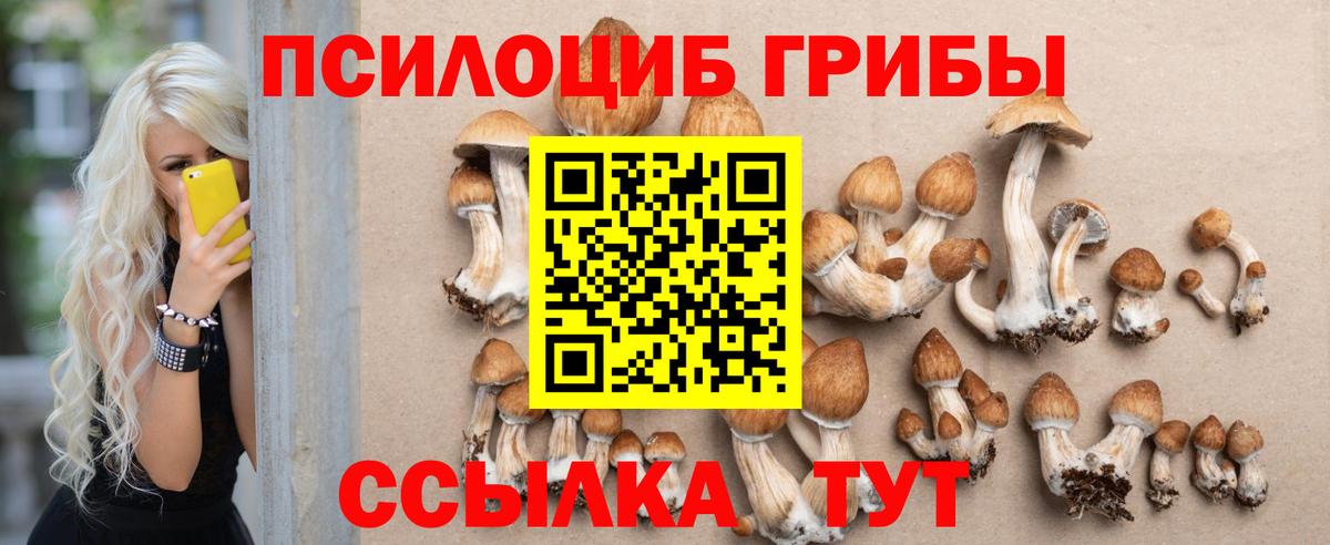 Псилоцибиновые грибы ЛСД  Вход с VPN  Галлюциногенные грибы ЛСД  Северск 